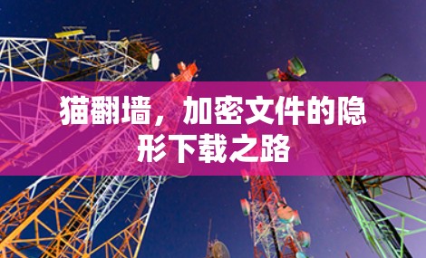 猫翻墙，加密文件的隐形下载之路
