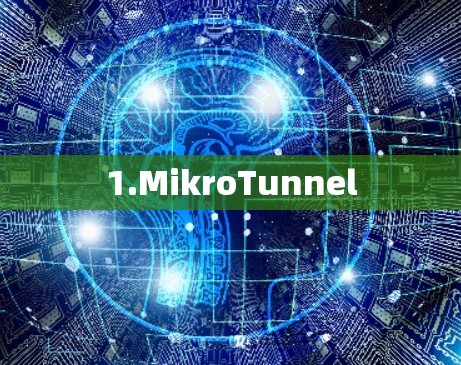 1.MikroTunnel