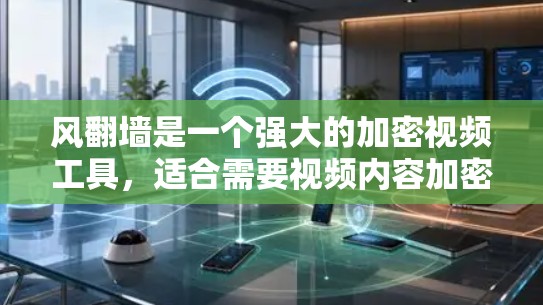 风翻墙是一个强大的加密视频工具，适合需要视频内容加密和处理的用户。以下是详细的使用步骤和注意事项