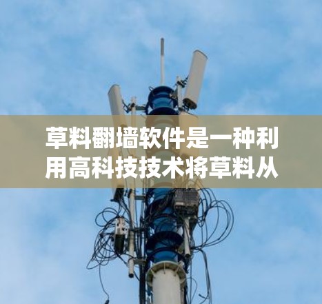 草料翻墙软件是一种利用高科技技术将草料从墙面上移动并运输到指定位置的系统。它结合了物理、机械和计算机科学的不同领域，旨在实现对墙面上物体的精准移除和运输。以下是对其工作的详细分析