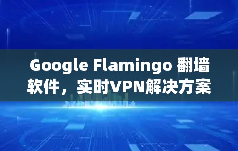 Google Flamingo 翻墙软件，实时VPN解决方案