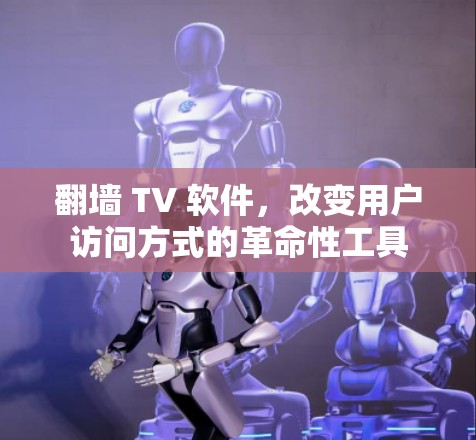 翻墙 TV 软件，改变用户访问方式的革命性工具