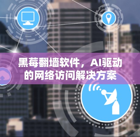 黑莓翻墙软件，AI驱动的网络访问解决方案