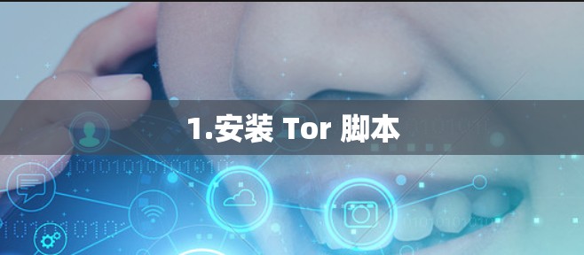 1.安装 Tor 脚本