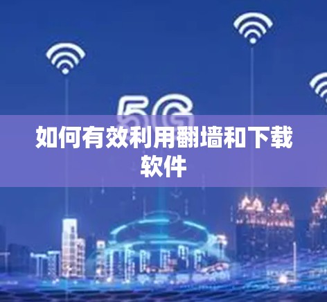 如何有效利用翻墙和下载软件