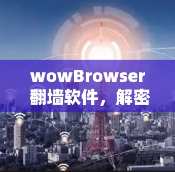 wowBrowser 翻墙软件，解密网络访问控制的高效解决方案
