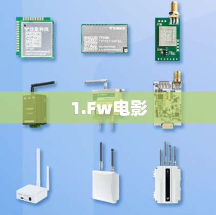 1.Fw电影