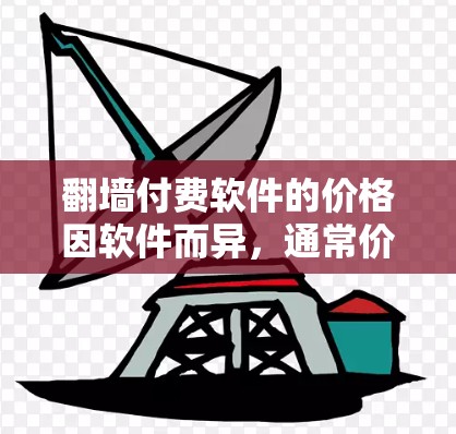 翻墙付费软件的价格因软件而异，通常价格在数千到上万元不等，取决于用户的需求和预算。以下是一些考虑点