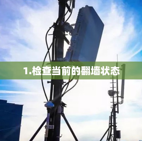 1.检查当前的翻墙状态