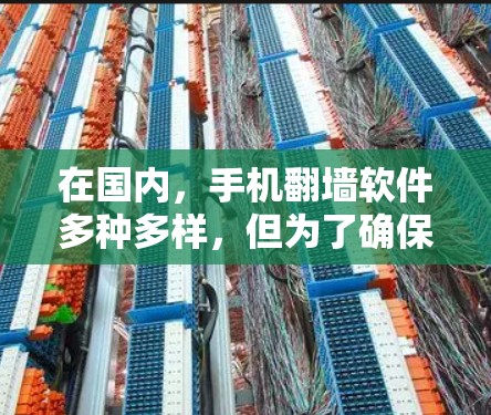 在国内，手机翻墙软件多种多样，但为了确保安全和使用便利，以下是一些关键点和建议