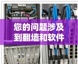 您的问题涉及到翻墙和软件权限问题，具体细节可能需要更多的上下文来准确解释。不过，我可以提供一些通用的解决方案，以帮助您解决问题