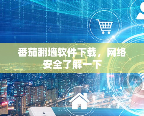 番茄翻墙软件下载，网络安全了解一下