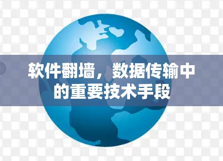 软件翻墙,数据传输中的重要技术手段 软件翻墙,数据传输中的重要技术手段