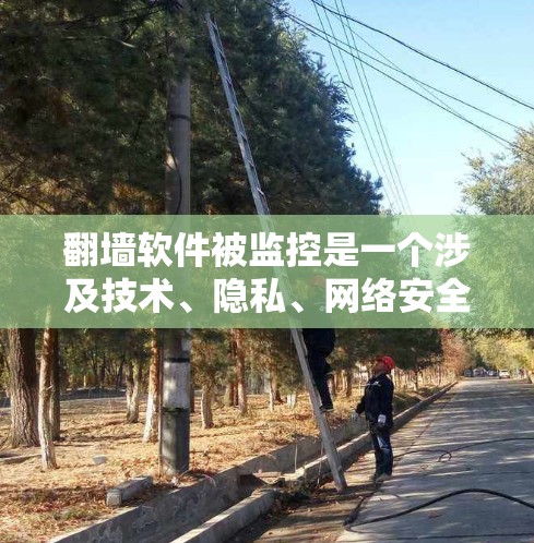 翻墙软件被监控是一个涉及技术、隐私、网络安全和法律等多个方面的问题，涉及多个维度和复杂性。以下是对这一问题的详细分析和建议