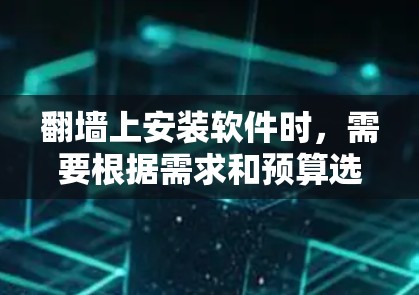 翻墙上安装软件时，需要根据需求和预算选择合适的工具。以下是一些综合考虑的推荐