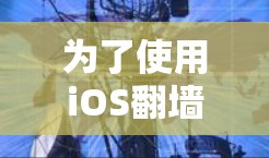 为了使用iOS翻墙软件，您可以按照以下步骤进行
