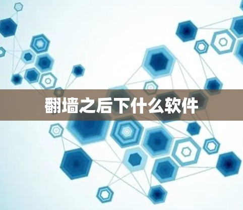 翻墙之后下什么软件