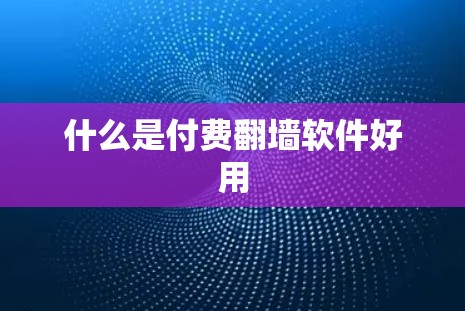 什么是付费翻墙软件好用