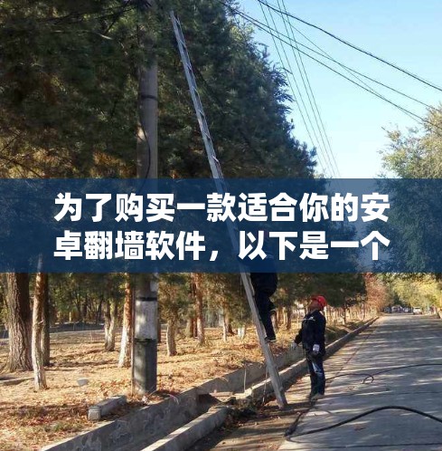 为了购买一款适合你的安卓翻墙软件，以下是一个清晰的指导步骤