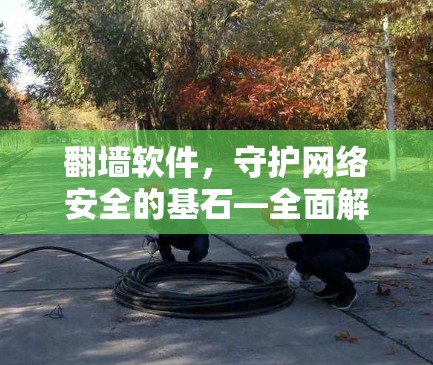 翻墙软件，守护网络安全的基石—全面解析安卓翻墙软件的优缺点与选择建议