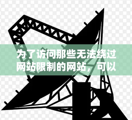 为了访问那些无法绕过网站限制的网站，可以考虑以下步骤