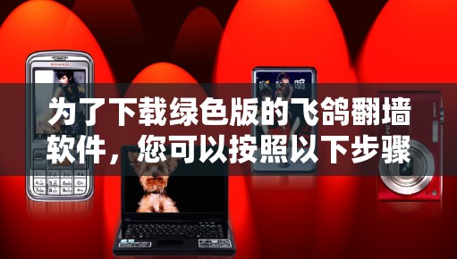 为了下载绿色版的飞鸽翻墙软件，您可以按照以下步骤操作