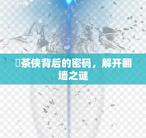 葲茶侠背后的密码，解开翻墙之谜