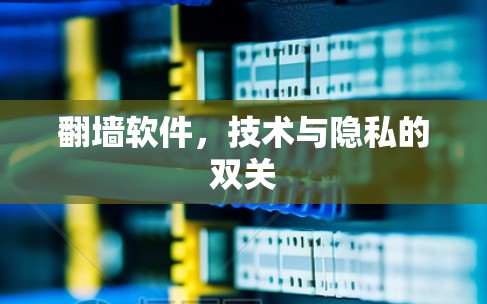 翻墙软件，技术与隐私的双关