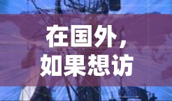在国外，如果想访问中国的网站或建立自己的网站，翻墙软件是一个非常有用的方法。以下是一些推荐的国外翻墙软件，分为免费和付费两类