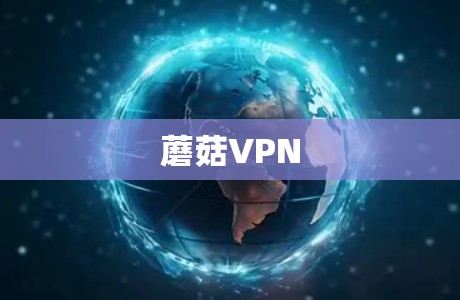 蘑菇VPN
