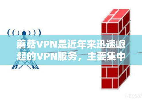 蘑菇VPN是近年来迅速崛起的VPN服务，主要集中在美国、加拿大和欧洲等地。以下是对蘑菇VPN主要机场和高速道路的整理，帮助用户更好地选择合适的VPN服务和旅行路线