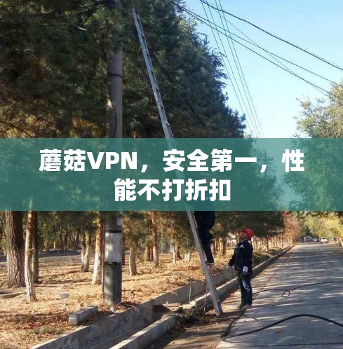 蘑菇VPN，安全第一，性能不打折扣