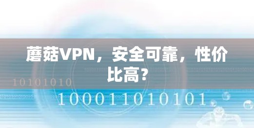 蘑菇VPN，安全可靠，性价比高？