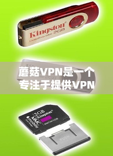 蘑菇VPN是一个专注于提供VPN服务的科技公司，它在技术和安全性方面可能有其优势。然而，用户可能需要考虑以下几点来评估其是否适合