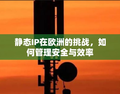 静态IP在欧洲的挑战，如何管理安全与效率
