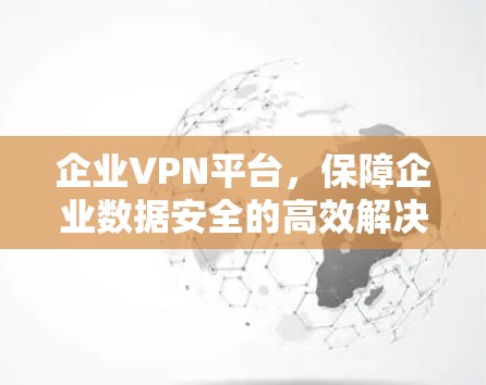 企业VPN平台，保障企业数据安全的高效解决方案