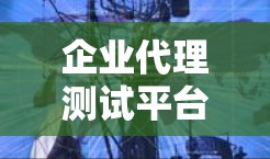 企业代理测试平台是指为企业提供测试服务的平台，通常用于自动化测试、测试部署、测试报告生成、工具测试等。这类平台可以帮助企业提高测试效率，确保产品符合质量标准，避免缺陷到达市场