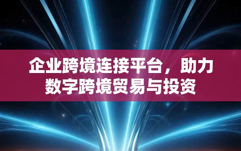 企业跨境连接平台，助力数字跨境贸易与投资