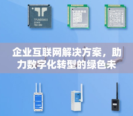 企业互联网解决方案，助力数字化转型的绿色未来