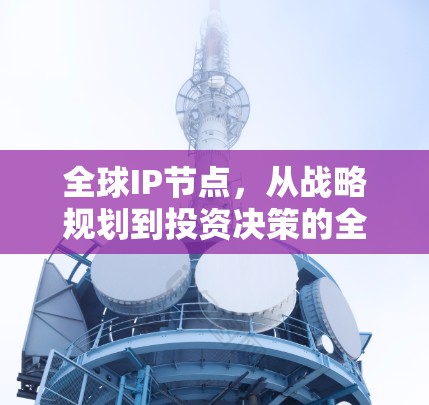 全球IP节点，从战略规划到投资决策的全面视角