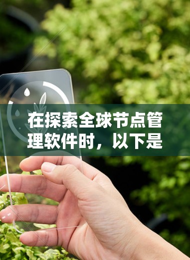 在探索全球节点管理软件时，以下是一个结构化的总结，帮助您做出明智的选择