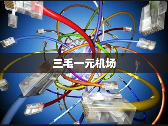 三毛一元机场