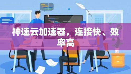 神速云加速器，连接快、效率高