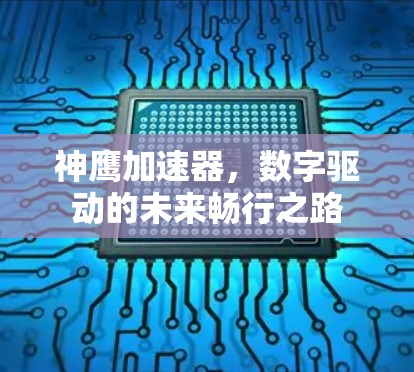 神鹰加速器，数字驱动的未来畅行之路