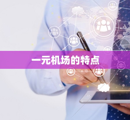 一元机场的特点