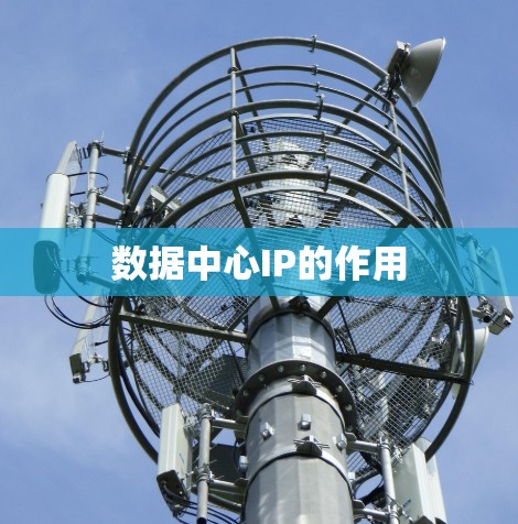 数据中心IP的作用