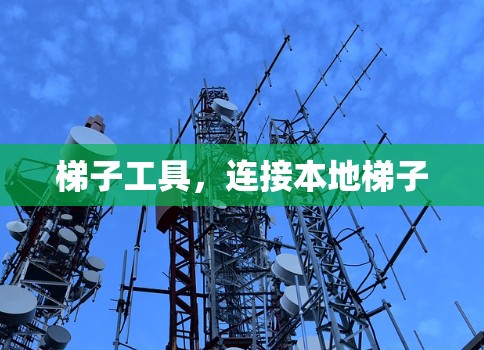 梯子工具，连接本地梯子