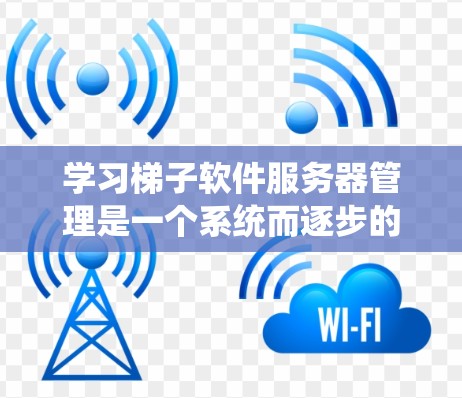学习梯子软件服务器管理是一个系统而逐步的过程，涵盖了从基础操作到高级功能的各个方面。以下是一个有条理的结构化学习计划，帮助你系统地掌握梯子软件服务器管理