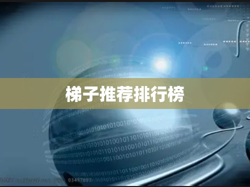 梯子推荐排行榜