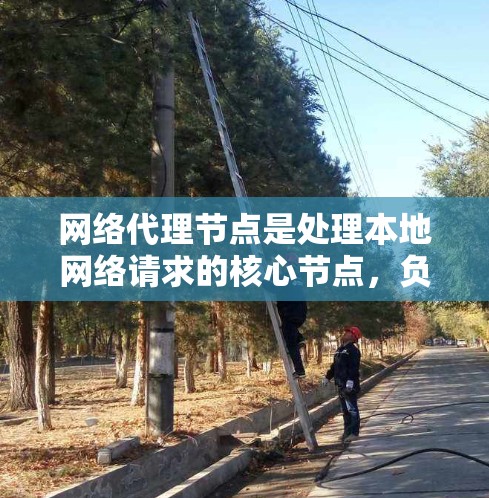 网络代理节点是处理本地网络请求的核心节点，负责从客户端到服务器或服务器到客户端的数据传输和响应。以下是其关键点的总结